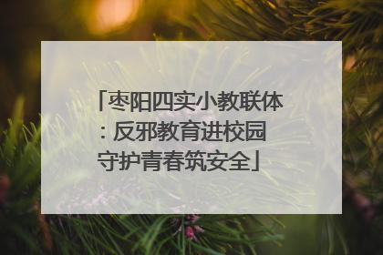 枣阳四实小教联体：反邪教育进校园 守护青春筑安全