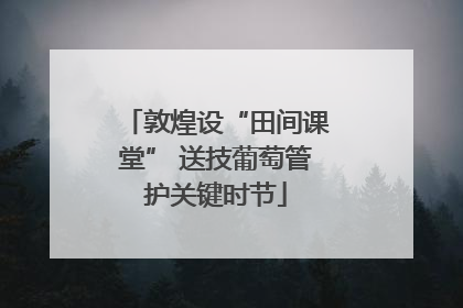 敦煌设“田间课堂” 送技葡萄管护关键时节