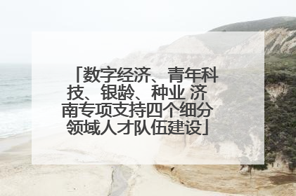 数字经济、青年科技、银龄、种业 济南专项支持四个细分领域人才队伍建设