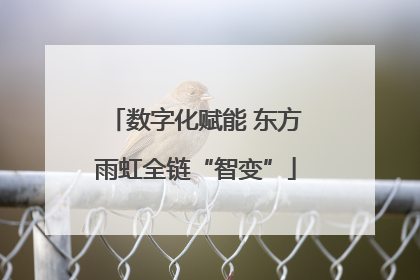 数字化赋能 东方雨虹全链“智变”