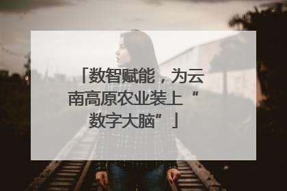 数智赋能，为云南高原农业装上“数字大脑”