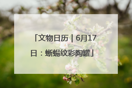 文物日历｜6月17日：蜥蜴纹彩陶罐