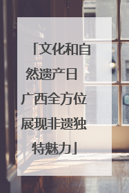 文化和自然遗产日 广西全方位展现非遗独特魅力