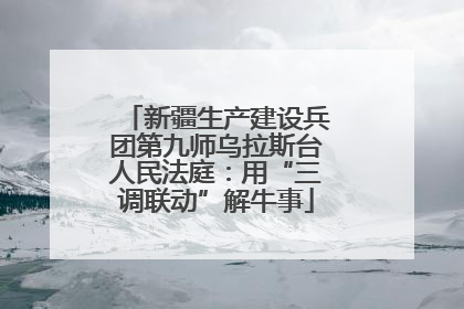 新疆生产建设兵团第九师乌拉斯台人民法庭：用“三调联动”解牛事