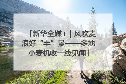 新华全媒+｜风吹麦浪好“丰”景——多地小麦机收一线见闻