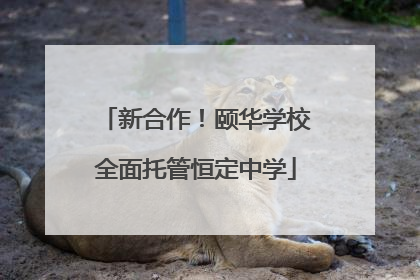 新合作！颐华学校全面托管恒定中学