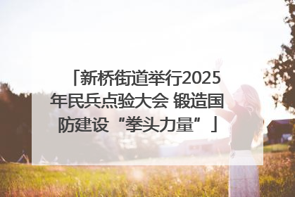 新桥街道举行2025年民兵点验大会 锻造国防建设“拳头力量”