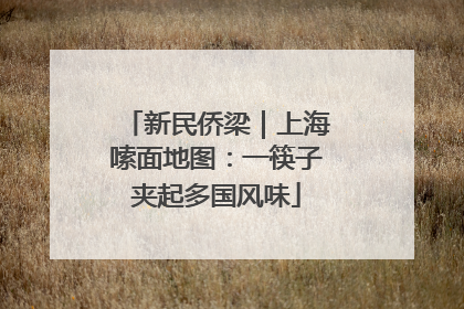 新民侨梁｜上海嗦面地图：一筷子夹起多国风味