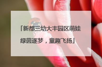 新都三幼大丰园区萌娃绿茵逐梦，童趣飞扬