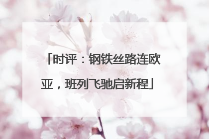 时评：钢铁丝路连欧亚，班列飞驰启新程