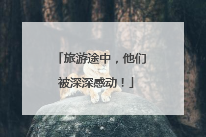 旅游途中，他们被深深感动！