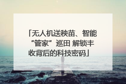 无人机送秧苗、智能“管家”巡田 解锁丰收背后的科技密码
