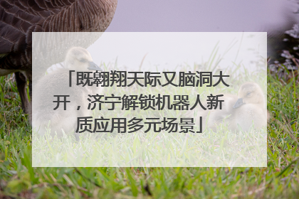 既翱翔天际又脑洞大开，济宁解锁机器人新质应用多元场景