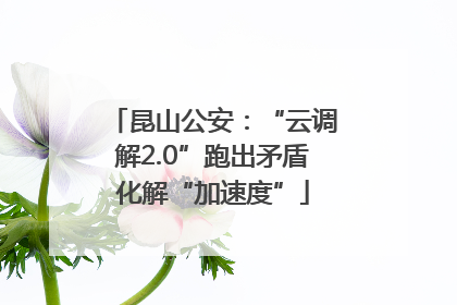 昆山公安：“云调解2.0”跑出矛盾化解“加速度”