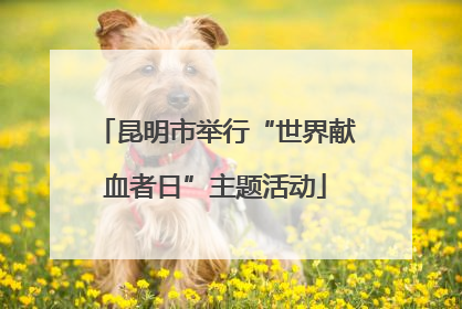 昆明市举行“世界献血者日”主题活动