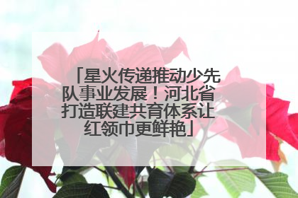 星火传递推动少先队事业发展！河北省打造联建共育体系让红领巾更鲜艳