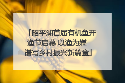 昭平湖首届有机鱼开渔节启幕 以渔为媒 谱写乡村振兴新篇章