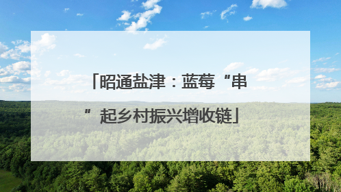 昭通盐津：蓝莓“串”起乡村振兴增收链