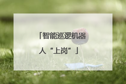 智能巡逻机器人“上岗”