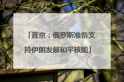 普京：俄罗斯准备支持伊朗发展和平核能