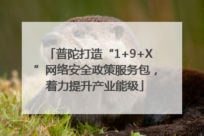 普陀打造“1+9+X”网络安全政策服务包，着力提升产业能级