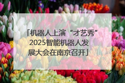 机器人上演“才艺秀” 2025智能机器人发展大会在南京召开