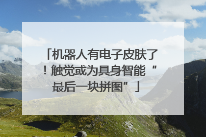 机器人有电子皮肤了！触觉或为具身智能“最后一块拼图”