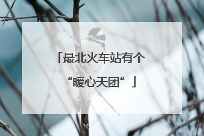 最北火车站有个“暖心天团”