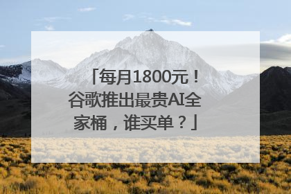 每月1800元！谷歌推出最贵AI全家桶，谁买单？