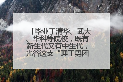 毕业于清华、武大、华科等院校，既有新生代又有中生代，光谷这支“理工男团”为何“出道”？