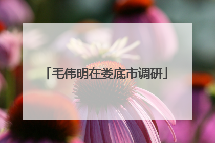 毛伟明在娄底市调研