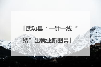 武功县：一针一线“绣”出就业新图景