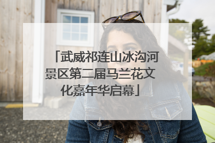 武威祁连山冰沟河景区第二届马兰花文化嘉年华启幕