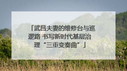 武昌夫妻的维修台与巡逻路 书写新时代基层治理“三重变奏曲”