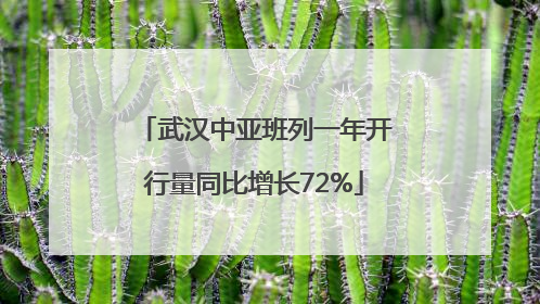 武汉中亚班列一年开行量同比增长72%
