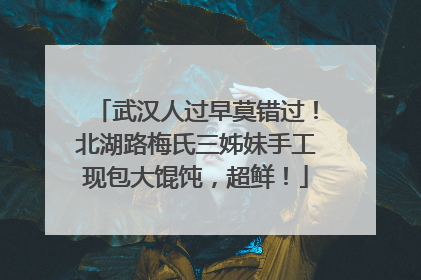武汉人过早莫错过！北湖路梅氏三姊妹手工现包大馄饨，超鲜！