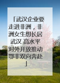 武汉企业要走进非洲，非洲女生想长居武汉 高水平对外开放推动鄂非双向奔赴