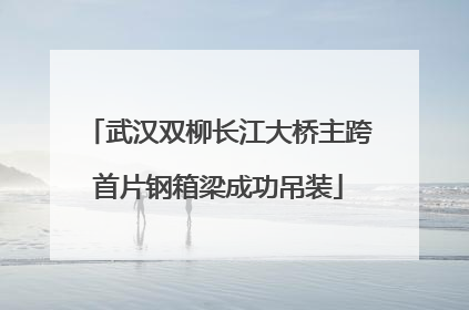 武汉双柳长江大桥主跨首片钢箱梁成功吊装