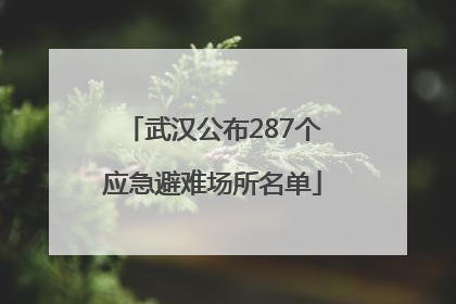 武汉公布287个应急避难场所名单