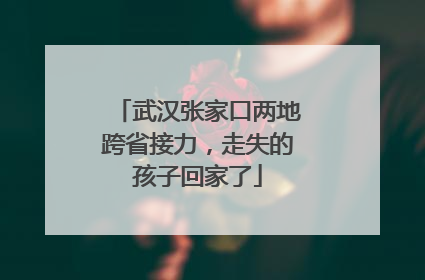 武汉张家口两地跨省接力，走失的孩子回家了