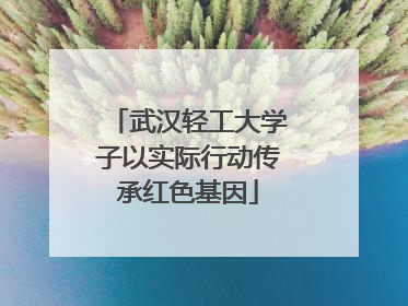 武汉轻工大学子以实际行动传承红色基因