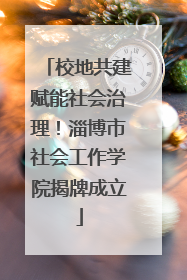 校地共建赋能社会治理！淄博市社会工作学院揭牌成立