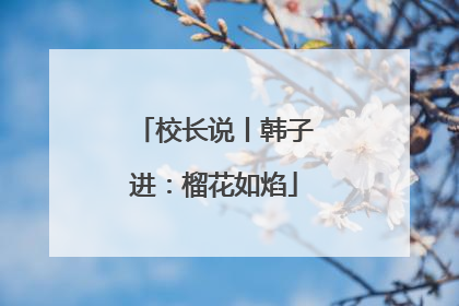 校长说丨韩子进：榴花如焰