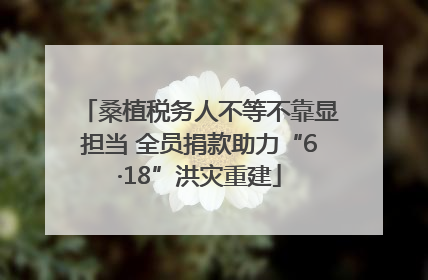 桑植税务人不等不靠显担当 全员捐款助力“6·18”洪灾重建