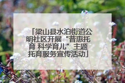 梁山县水泊街道公明社区开展“普惠托育 科学育儿”主题托育服务宣传活动