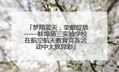 梦翔蓝天，荣耀绽放——蚌埠第三实验学校在航空航天教育竞赛活动中大放异彩