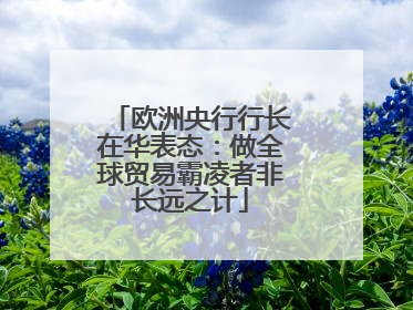欧洲央行行长在华表态：做全球贸易霸凌者非长远之计
