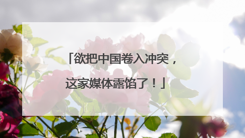 欲把中国卷入冲突，这家媒体露馅了！