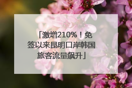 激增210%！免签以来昆明口岸韩国旅客流量飙升