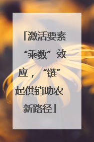激活要素“乘数”效应，“链”起供销助农新路径